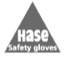 Hase Logo