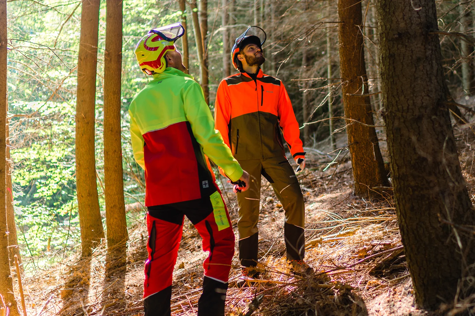 Zwei Forstarbeiter in KOX Schnittschutzkleidung Mistral 3.0, einer in leuchtgelb-rot-schwarz, der andere in orange-oliv, stehen an einem Hang im Nadelwald und blicken nach oben zu einem Baum.